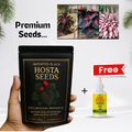 Midnight Bloom – Imported Mix Hosta Plant Seeds (100g Pack) + Free Organic Growth Booster